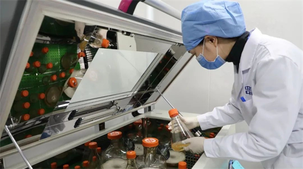 1721610910059093822.jpg 3.jpg